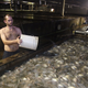 Illustration for article titled How To Raise Four Million Pounds of Fish a Year—in Virginia